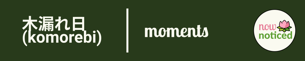 Moment: 木漏れ日 (komorebi)